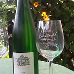 Winzerhof Brachtendorf Отель Алькен