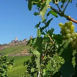 Отель Winzerhof Brachtendorf