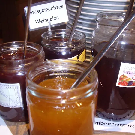 Hotel Winzerhof Brachtendorf Alken