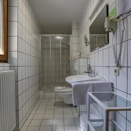 Hotel Winzerhof Brachtendorf Alken