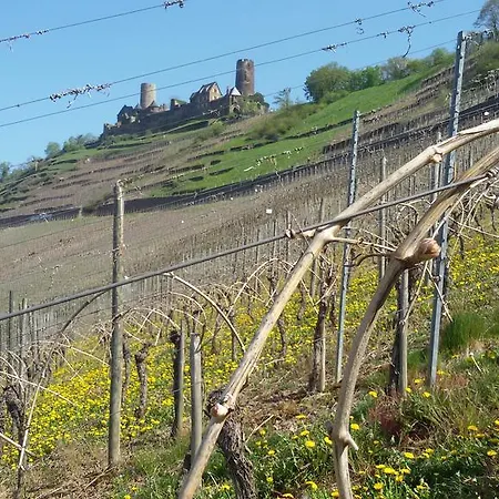 Winzerhof Brachtendorf מלון