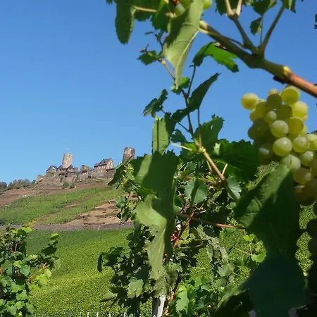 מלון Winzerhof Brachtendorf