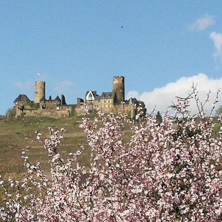 Hotel Winzerhof Brachtendorf Alken