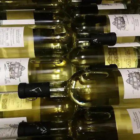 Winzerhof Brachtendorf Hotel Alken