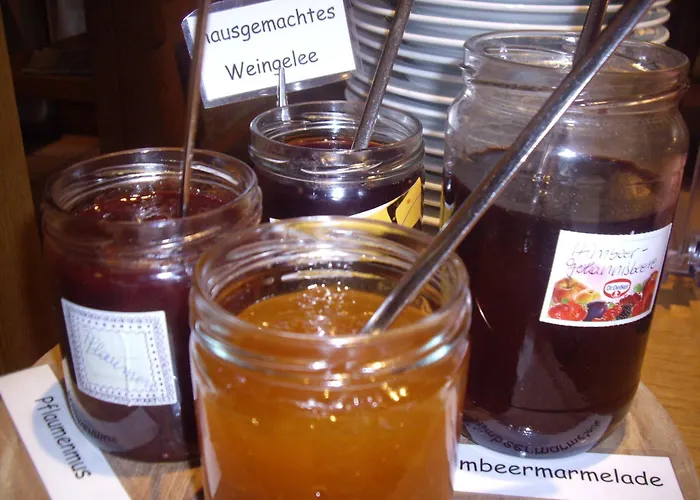 Hotel Winzerhof Brachtendorf Alken