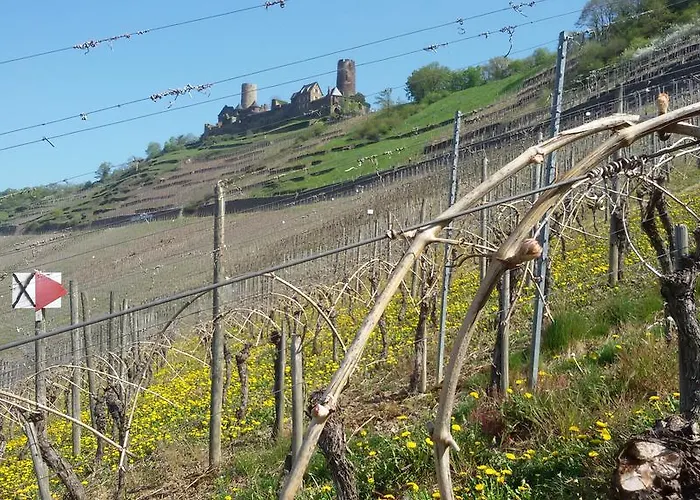 Winzerhof Brachtendorf Hotel