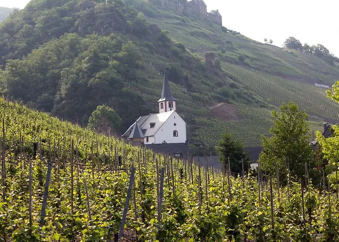 Winzerhof Brachtendorf Alken