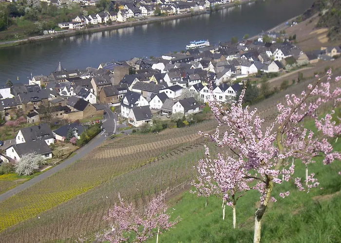 Hotel Winzerhof Brachtendorf