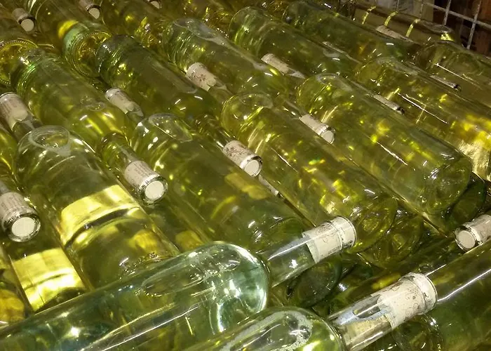 Winzerhof Brachtendorf Alken