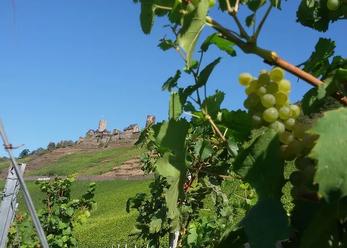 Otel Winzerhof Brachtendorf