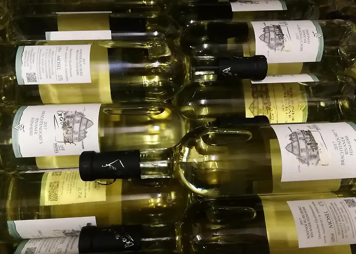 Winzerhof Brachtendorf Hotel Alken